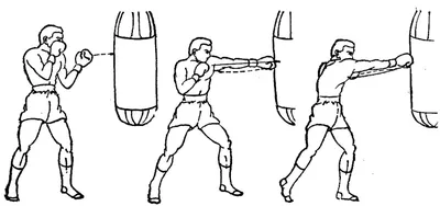 Техника бокса в картинках обои