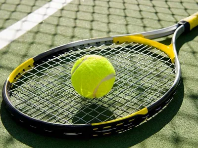 Теннисная ракетка Draqon Taichi Level 200 New (анатомическая) купить