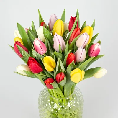 Тюльпан красный поштучно | купить недорого тюльпаны в розницу | доставка по  Москве и области