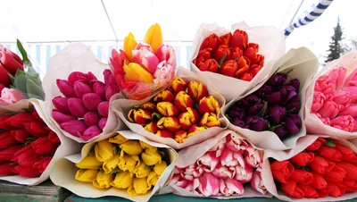 Белые тюльпаны Голландия в вазе 35 штук купить в интернет-магазине