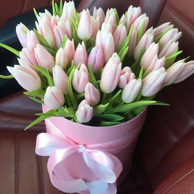 Розовые тюльпаны поштучно от 34 руб./шт. Купить цветы.