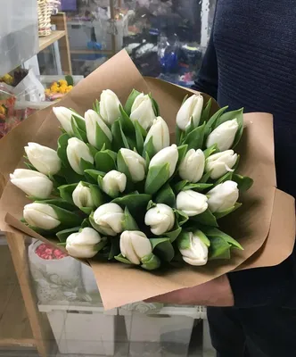 Тюльпаны | Доставка цветов в Праге