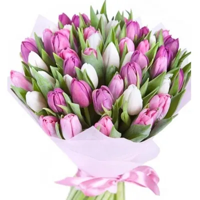 Букет цветов тюльпаны, 15шт - купить с доставкой в Сочи в Перекрёстке