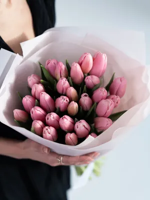 Розовые тюльпаны по цене 175 ₽ - купить в RoseMarkt с доставкой по  Санкт-Петербургу