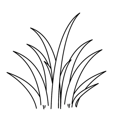 Раскраска трава раскраски. Раскраски травы для изучения природы с детьми