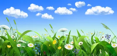 покрашенный дизайн предпосылки иллюстрации детей травы голубого неба,  окрашенный фон, Голубое небо, белые облака фон картинки и Фото для  бесплатной загрузки