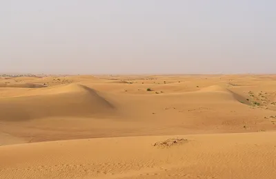 Головокружительные эмираты: ТОП смотровых площадок и сафари в пустыне -  KP.RU