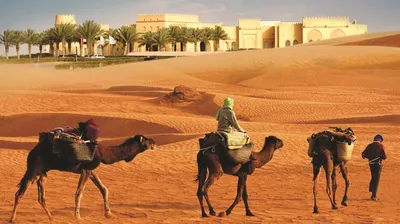 Фотограф развеял мифы про Саудовскую Аравию: истории путешественника - 11  мая 2023 - 116.ру