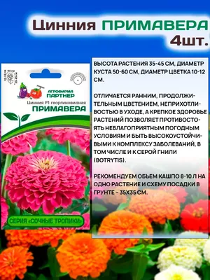 S7111 Цинния Double Zahara Mix BRILLIANT 5шт. - купить в Москве в  интернет-магазине