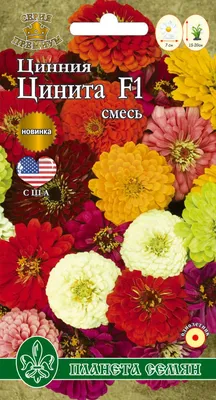 Семена Цинния Фантазия, смесь: описание сорта, фото - купить с доставкой  или почтой России