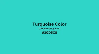 Bright Turquoise Color | ArtyClick