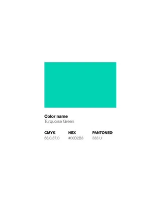 Turquoise Color HEX Code #40e0d0