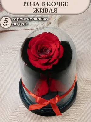 Нежный бело-розовый букет эустомы для девочки . Цена: 4500 руб в  интернет-магазине Centre-flower.ru