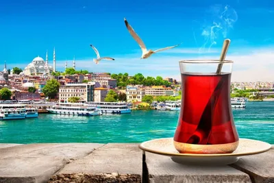 Aydinlik: Турецкие отельеры переоценили спрос россиян на отдых в Турции |  Пикабу