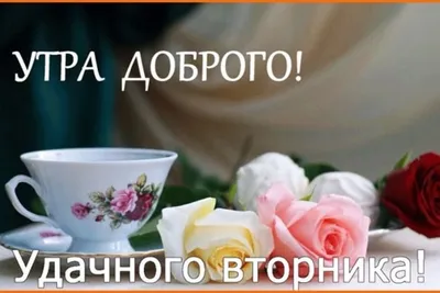 🌺❄ Счастливого вторника ! | Поздравления, пожелания, открытки | ВКонтакте