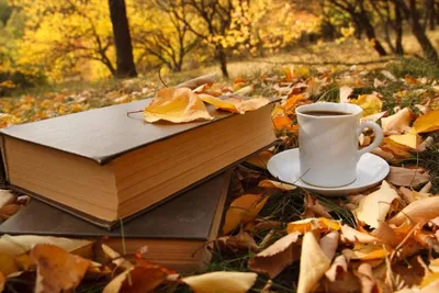 Осенний чай - красивые фото