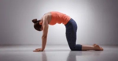 Упражнение Кегеля для женщин в домашних условиях для укрепления мышц таза -  как выполнять: видео - 7 апреля 2021 - Sport24
