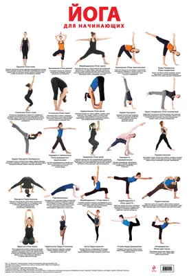 Комплекс упражнений йоги для начинающих - 88 фото