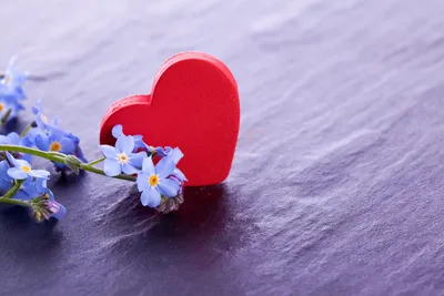 День Святого Валентина Розовое Сердце — стоковые фотографии и другие  картинки Символ сердца - Символ сердца, Роза, Цветок - iStock