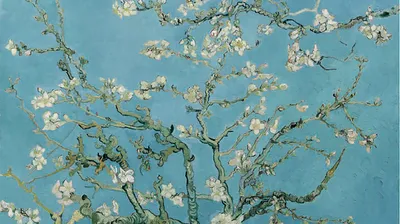 5 картин Ван Гога: шедевры, написанные в лечебнице для душевнобольных -  Блог издательства «Манн, Иванов и Фербер»