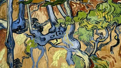 Ван Гог в лечебнице Сен-Поль: как великий художник жил и творил в  психиатрической больнице