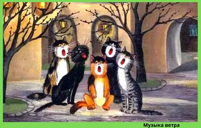 весна #кот #котики #окно #природабеларуси #minskibelarus #road #mogilevgram  #беларусь #mogilevtut #минскибеларусь #belarusblakitnaya… | Instagram