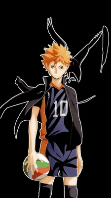 Anime Волейбол аниме постер