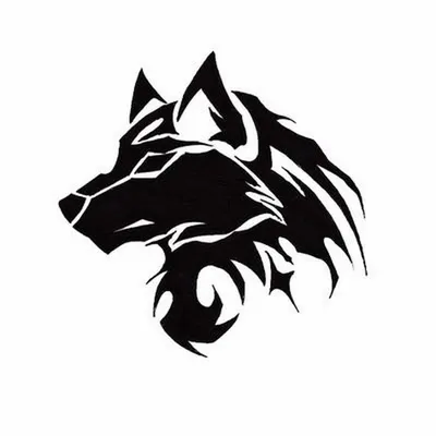 Волк черно белая картинка обои