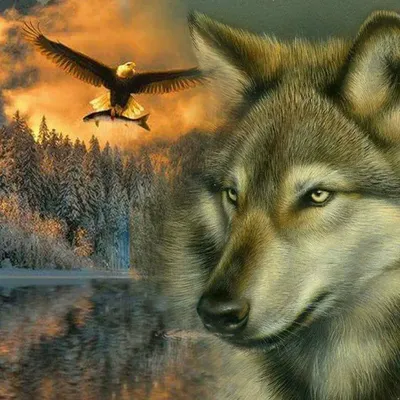 Горный Орёл и лесной волк крепкая…» — создано в Шедевруме