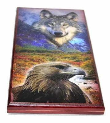 Картина по номерам \"Волк и орел\"