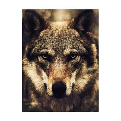 Способен ли волк намять бока орлу (моё мнение) | Тимон против Пумбы | Дзен