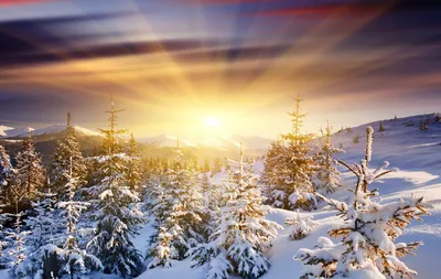 Восход солнца. Пушистая метель, снег…» — создано в Шедевруме