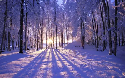 восход солнца на туманном озере зимой, Россия, Урал Stock-Foto | Adobe Stock