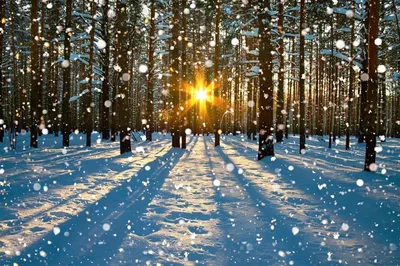 Девушка ловит солнце руками зимой на закате Stock Photo | Adobe Stock