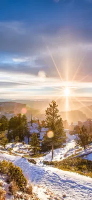 восход солнца снежный лес фон, фон снежного леса, восход солнца зимой,  зимний лес фон картинки и Фото для бесплатной загрузки