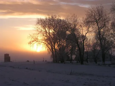 Красивый Восход Солнца Над Темный Лес Зимой — стоковые фотографии и другие  картинки 2015 - 2015, Без людей, В тени - iStock