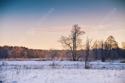 РуПол | Рыжевский on X: \"Доброе утро, земляне! Восход зимой . • ° #восход  #природа #зима #красота #Россия #снег #РуПол https://t.co/nwSIfs1FOD\" / X
