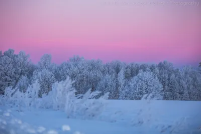 Картинки зимний восход солнца (68 фото) » Картинки и статусы про окружающий  мир вокруг