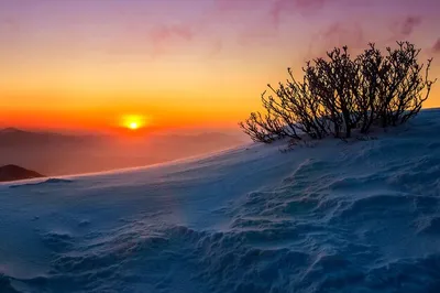 Бесплатные Зимой восход солнца на ферме стоковые фотографии | FreeImages