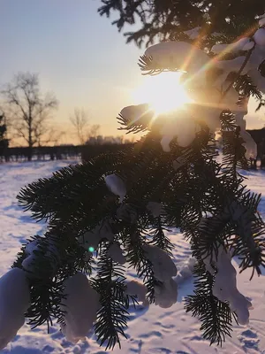 Зимнее солнце Владивостока: встает, как на работу - PrimaMedia.ru