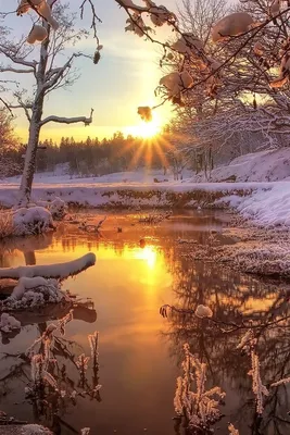 ФОТО. \"Снежная радуга\" и восход солнца зимним днем в Веселаве