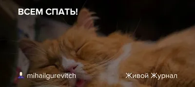 всем спать 👋 | Рифмы и Панчи | ВКонтакте
