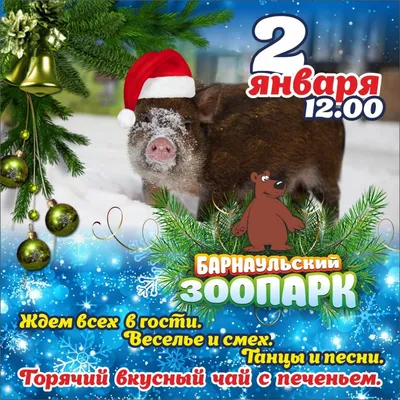 Барнаульский зоопарк проведет новогодний праздник 2 января БАРНАУЛ ::  Официальный сайт города