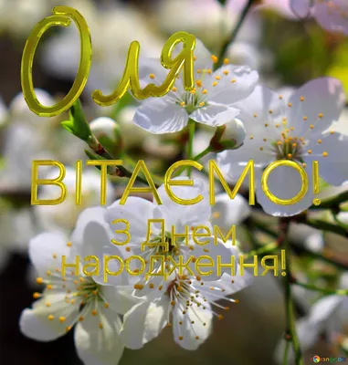 Pin by Ольга Бойко on день народження | Birthday wishes flowers, Beautiful  roses, Flowers