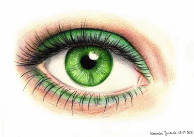 Зеленые простые рисунки (25 фото) » Рисунки для срисовки и не только
