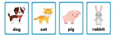Животные на английском с картинками обои