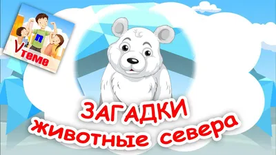 Блог учителя-дефектолога Крот Натальи Вячеславовны!: Животные Севера