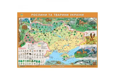 Купить Гений с пеленок Животные Украины - цена от издательства Ранок Креатив