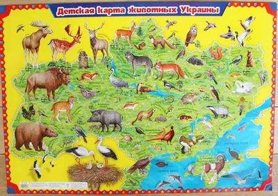 Животные-герои из Украины ТОП самых популярных - Афиша bigmir)net
