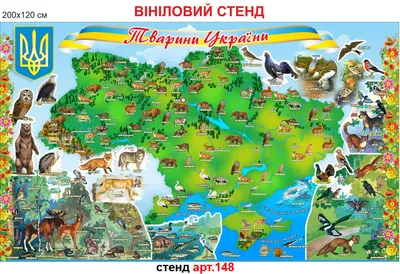 Слепыши, лоси и суслики - краснокнижные животные, которых может потерять  Украина - Новости на KP.UA